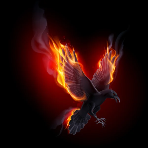 Black raven flying in the flame — Stock Vector