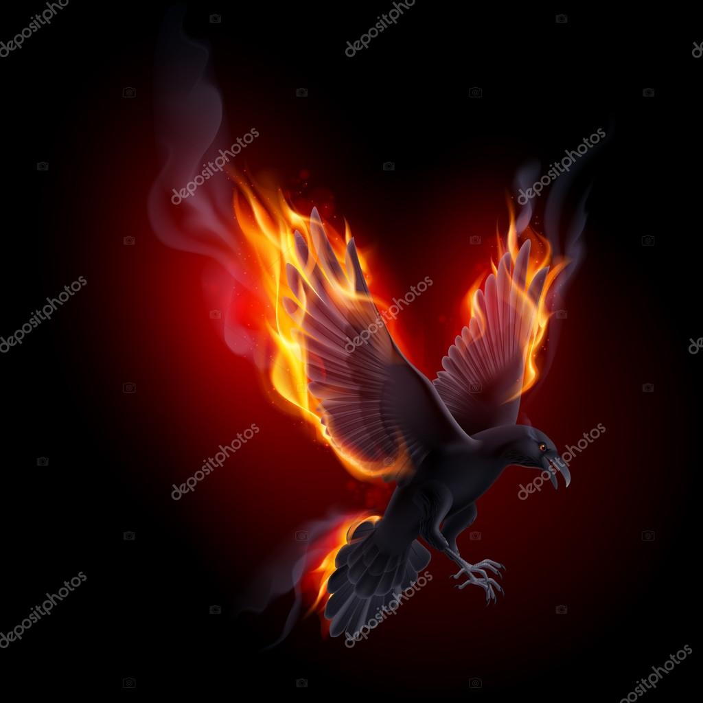 Black raven flying in the flame on the black background