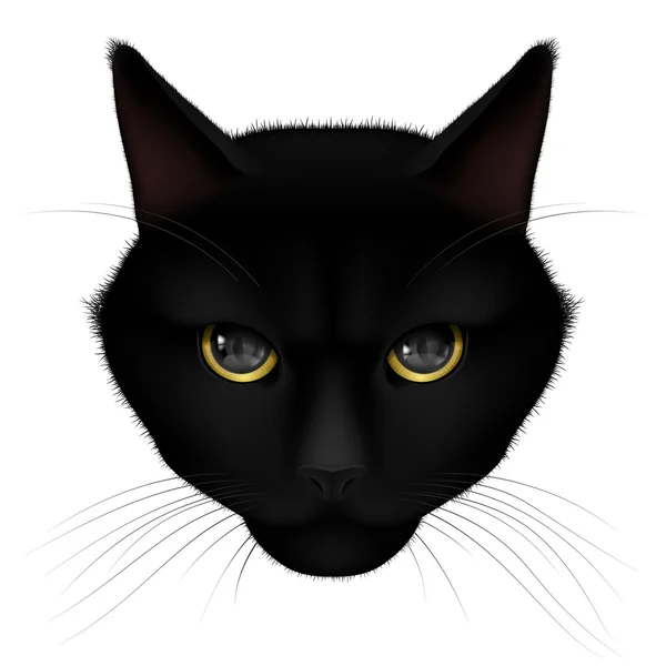 Cabeza de gato negro — Vector de stock