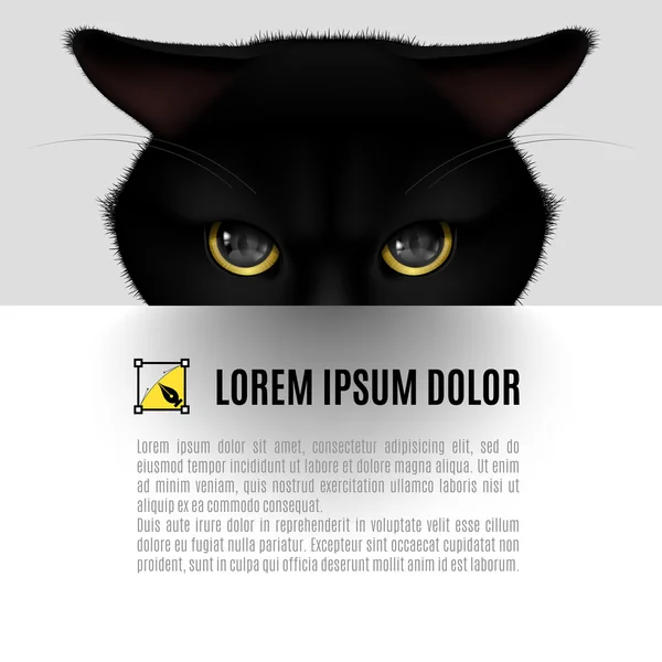 Fekete macska poszter — Stock Vector