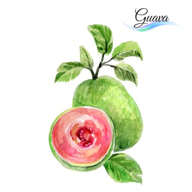 Sulu Boya meyve guava