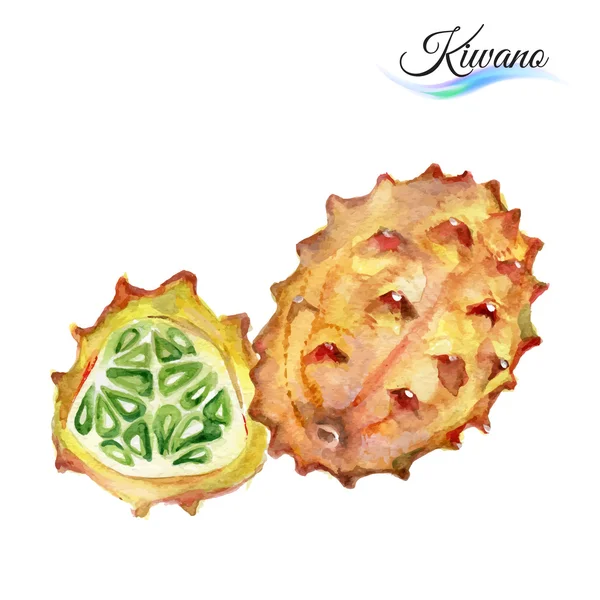 Acuarela kiwano fruta — Vector de stock