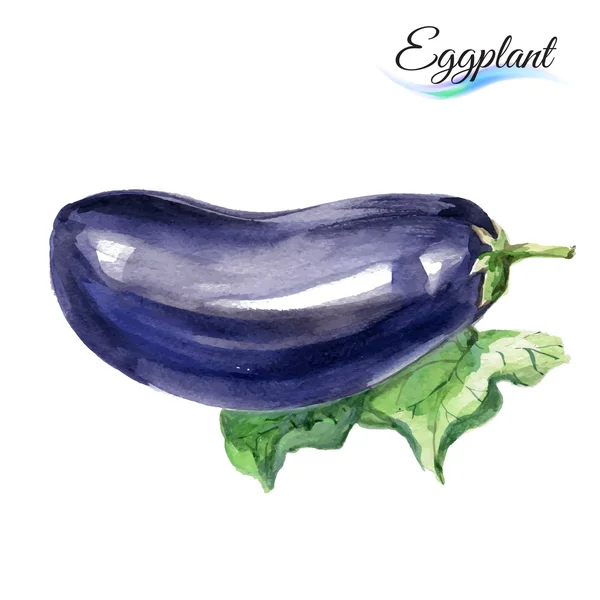 Aquarel aubergine op witte — Stockvector