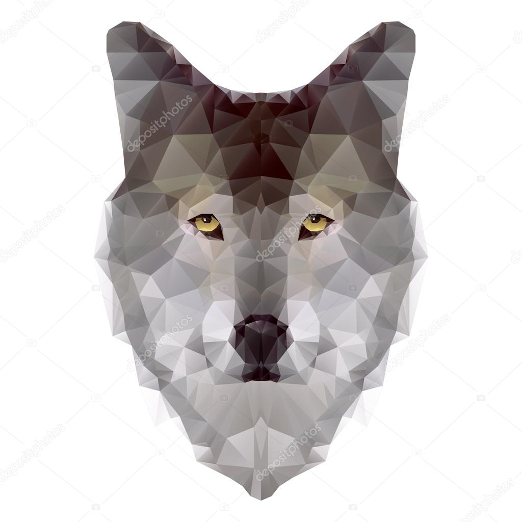 Head of wolf triangles