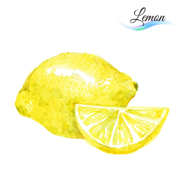 Aquarell Zitrone auf Weiß — Stockvektor