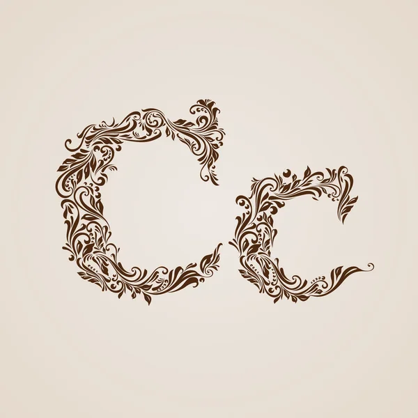 Decorated letter c — Stock Vector