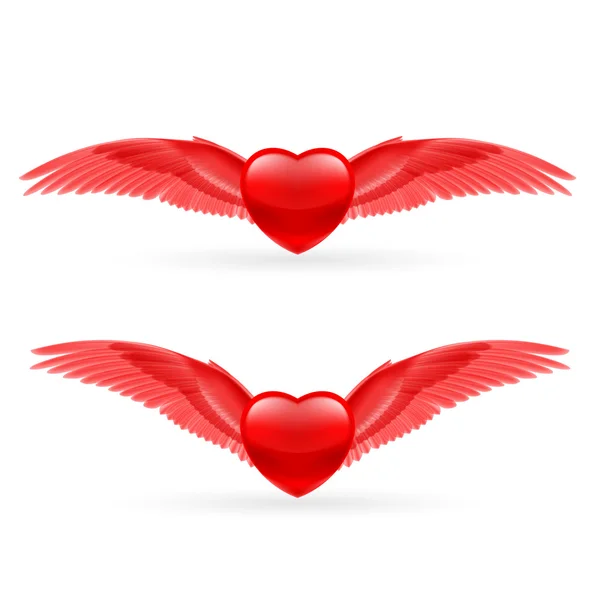 Two hearts with wings — Stock Vector