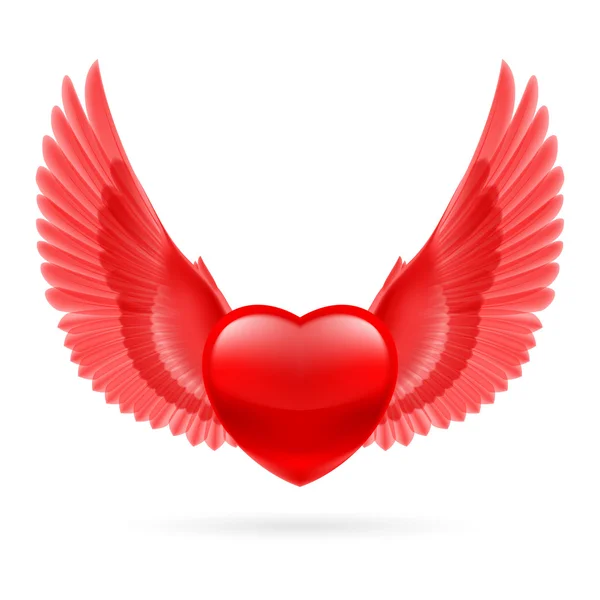 Heart with raised wings — 스톡 벡터