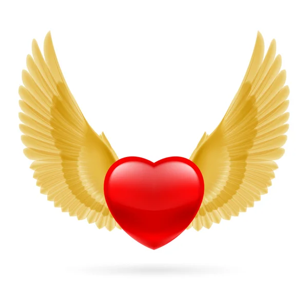 Heart with raised wings — 图库矢量图片