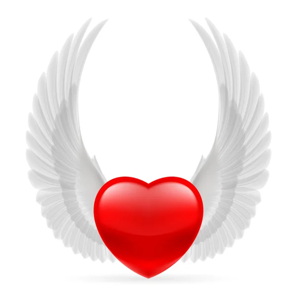 Сердце с поднятыми крыльями — стоковый вектор