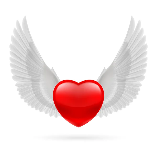 Heart with raised wings — Stock Vector