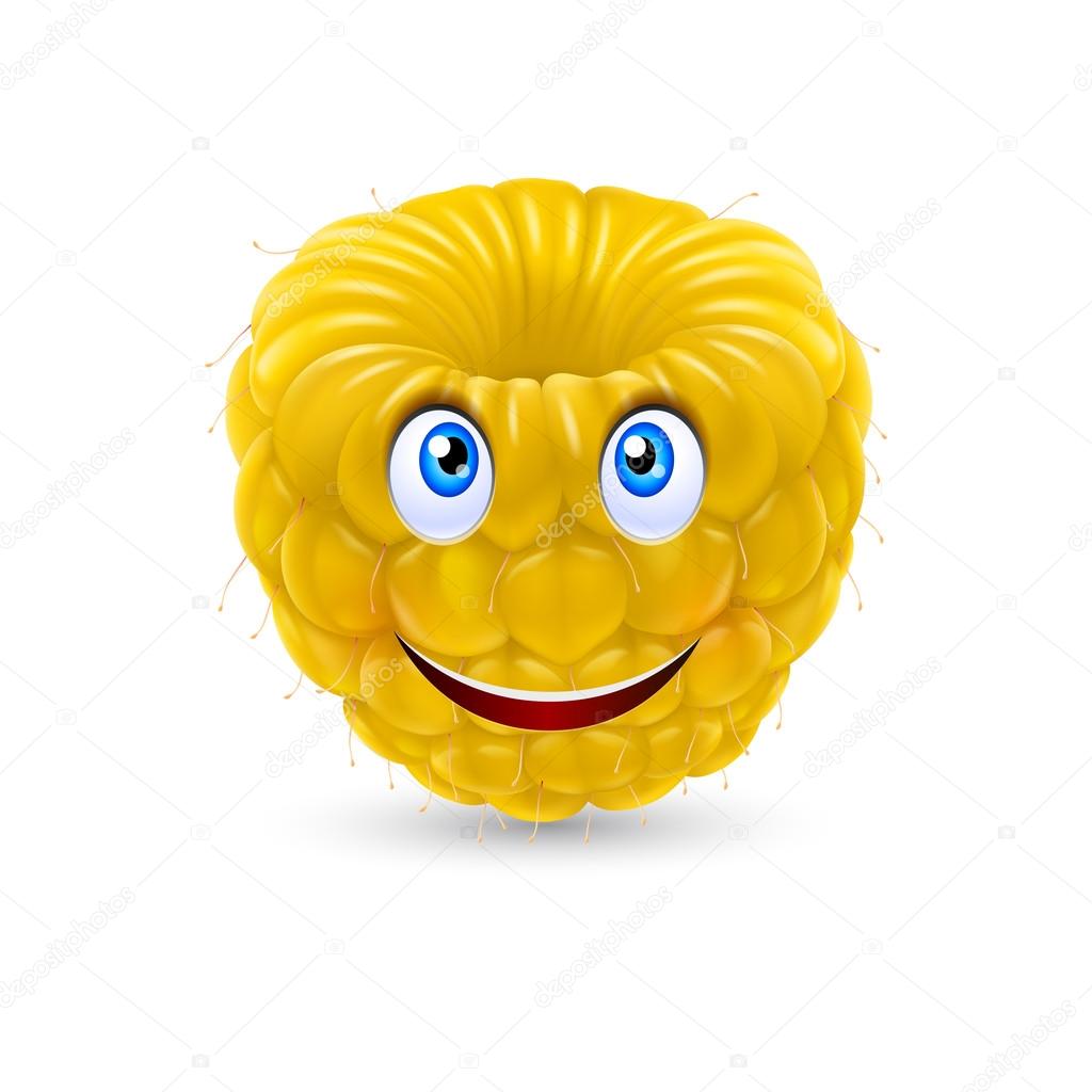 Yellow Raspberry smiling face expression cartoon character on white