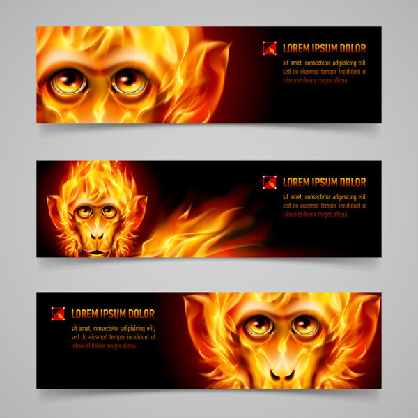 Set of banners with Monkey head in orange flame