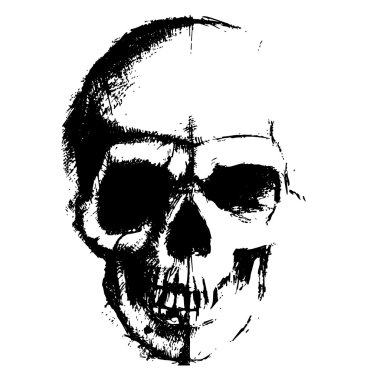 Kafatası taslak öğe