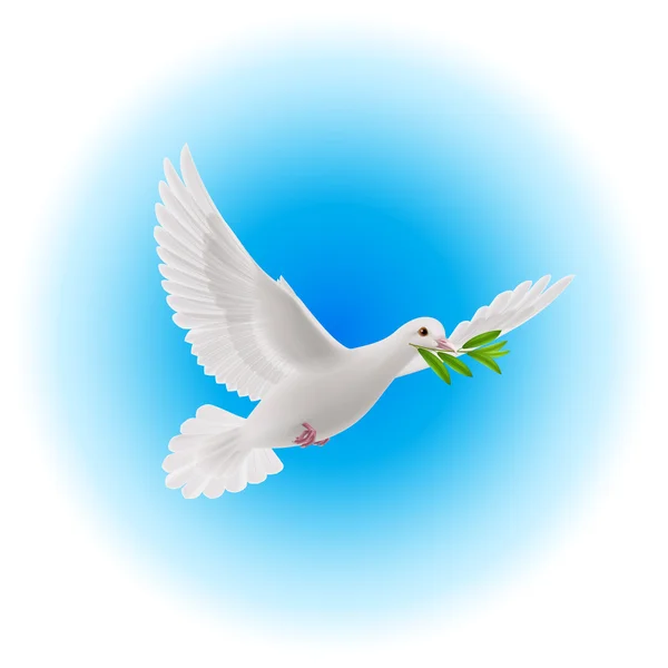 Colombe de paix — Image vectorielle