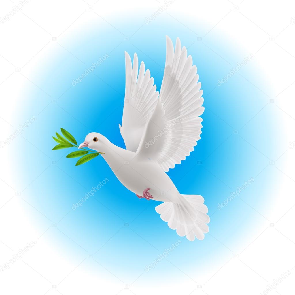 peace dove flying