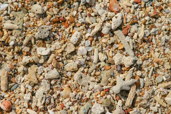 Sea sand texture made of shell and stone pieces. — Stock Photo, Image