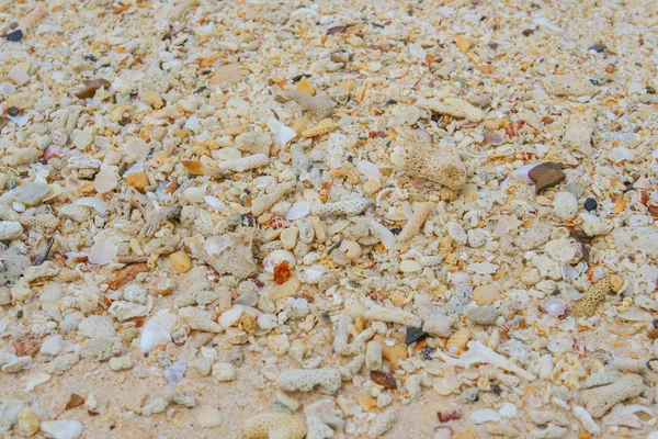 Tengeri homok textúra tett és gránát kőből darabokat. — Stock Fotó