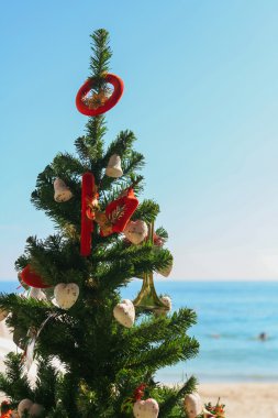 Noel ağacı tropik sahilde