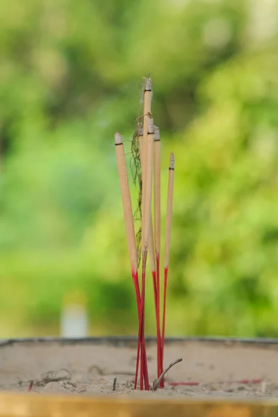 Burning incense sticks