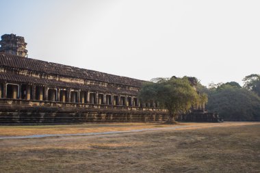 Kamboçya 'daki Angkor Wat Tapınağı.