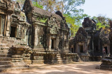 Kamboçya 'daki Angkor Wat Tapınağı.