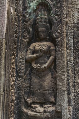 Angkor Wat Tapınağı'nda oyma Apsara dansçı taş