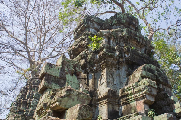 Angkor Wat temple in Cambodia. — Stock Photo, Image