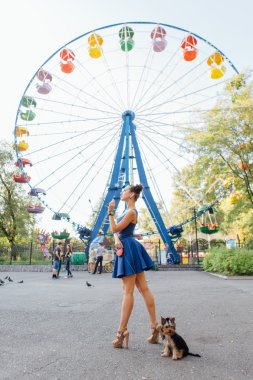 yorkshire terrier ile genç güzel kadın