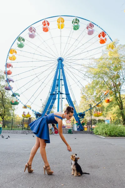yorkshire terrier ile genç güzel kadın