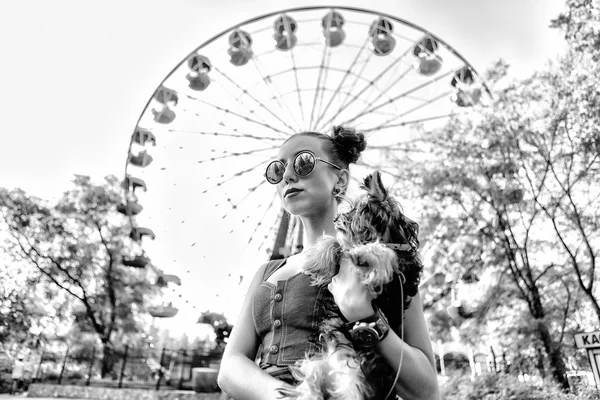 yorkshire terrier ile genç güzel kadın