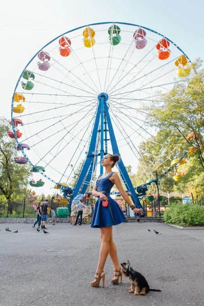 yorkshire terrier ile genç güzel kadın