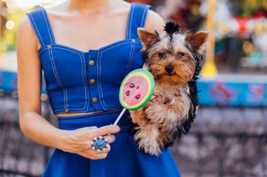 Parlak makyaj Yorkshire Terrier karpuz lolipop tutan ile güzel kız. 