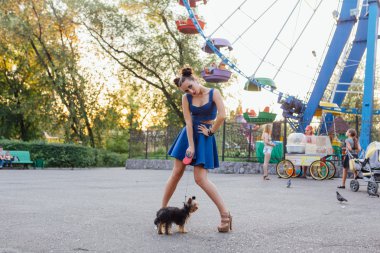 yorkshire terrier ile genç güzel kadın