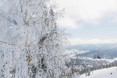 Güzel kış manzarası.