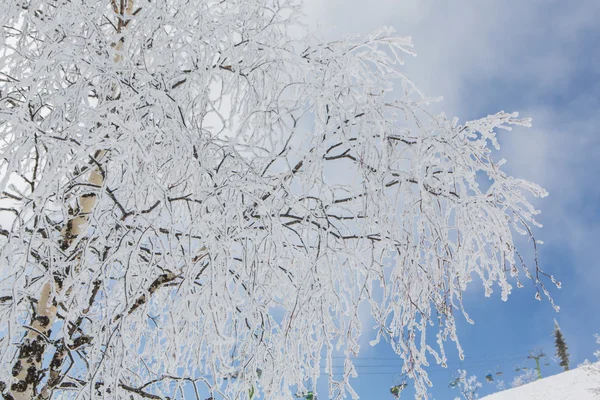 Bellissimo paesaggio invernale. — Foto Stock