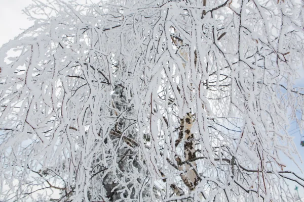 Bellissimo paesaggio invernale. — Foto Stock