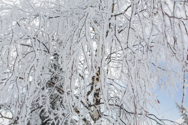 Bellissimo paesaggio invernale. — Foto Stock