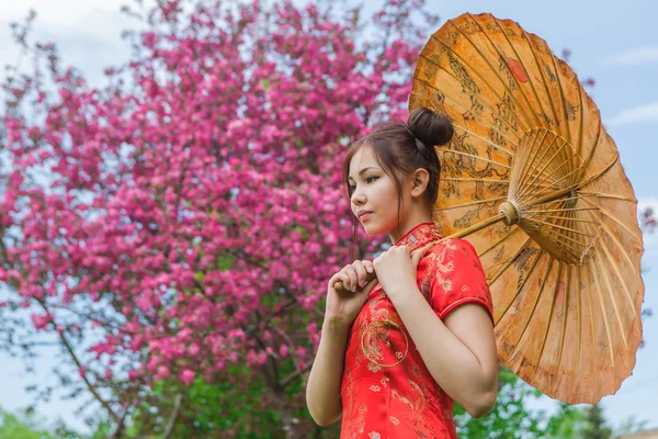 Hermosa chica asiática en vestido rojo chino tradicional con paraguas de bambú . —  Fotos de Stock