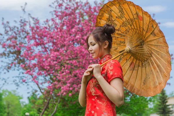 Güzel Asyalı kız geleneksel Çince kırmızı elbise ile bambu şemsiye.