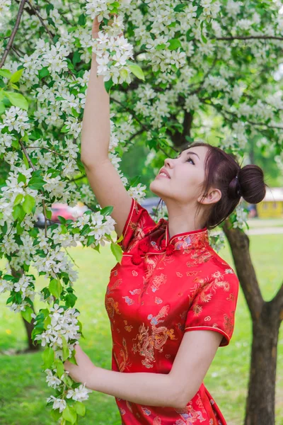 Hermosa chica asiática en vestido rojo chino tradicional . —  Fotos de Stock