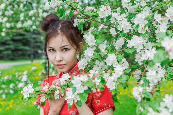 Geleneksel Çin Kırmızı elbiseli güzel Asyalı kız. — Stok fotoğraf