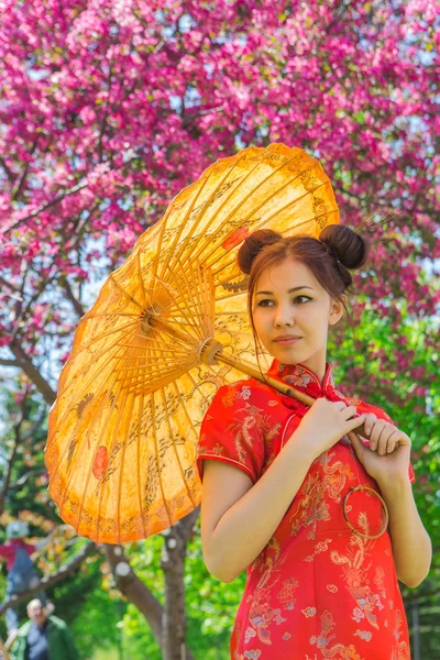 Güzel Asyalı kız geleneksel Çince kırmızı elbise ile bambu şemsiye. — Stok fotoğraf