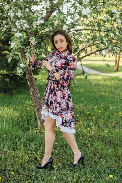 Красива молода жінка стоїть біля яблуні . — стокове фото