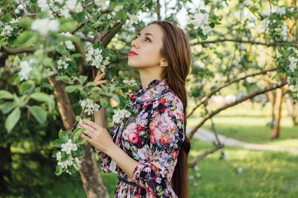 Wanita muda cantik berdiri di dekat pohon apel . — Stok Foto
