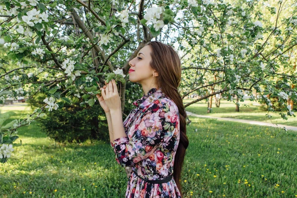 Schöne junge Frau, die am Apfelbaum steht. — Stockfoto