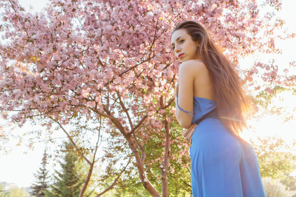 Back view of a beautiful young woman dressed in blue overalls standing near the blooming pink apple tree.