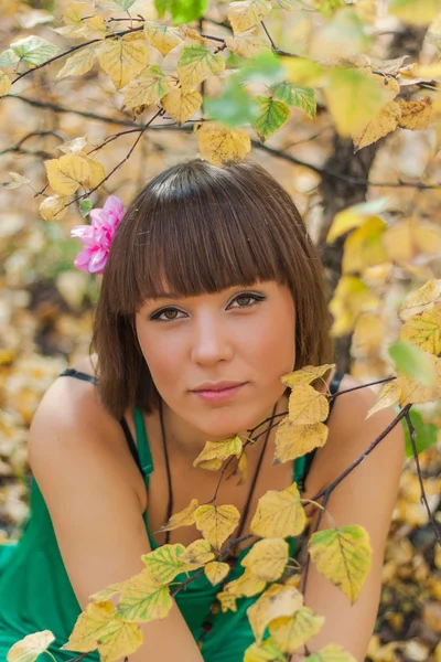 Piękna dziewczyna w jesiennym parku — Zdjęcie stockowe