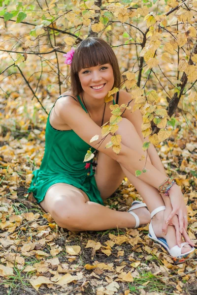 Beautiful girl in autumn park Royalty Free Stock Images