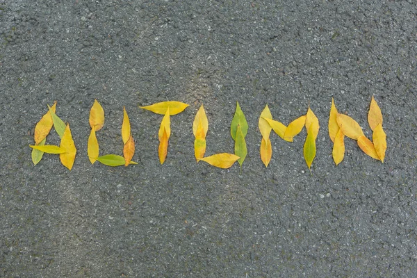 アスファルトの背景を葉で作った単語秋. — ストック写真
